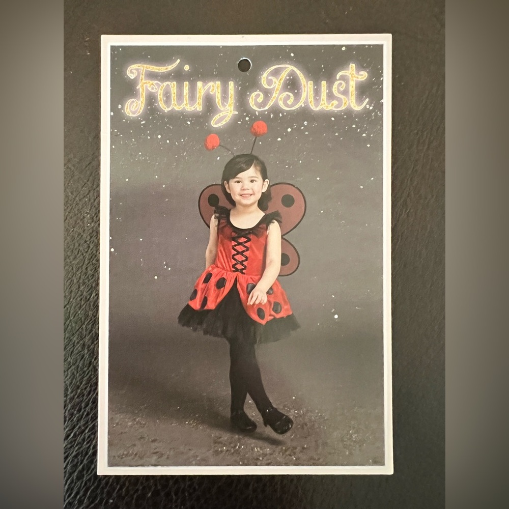 Lady Bug w/ Wings Halloween Costume 4/5 T